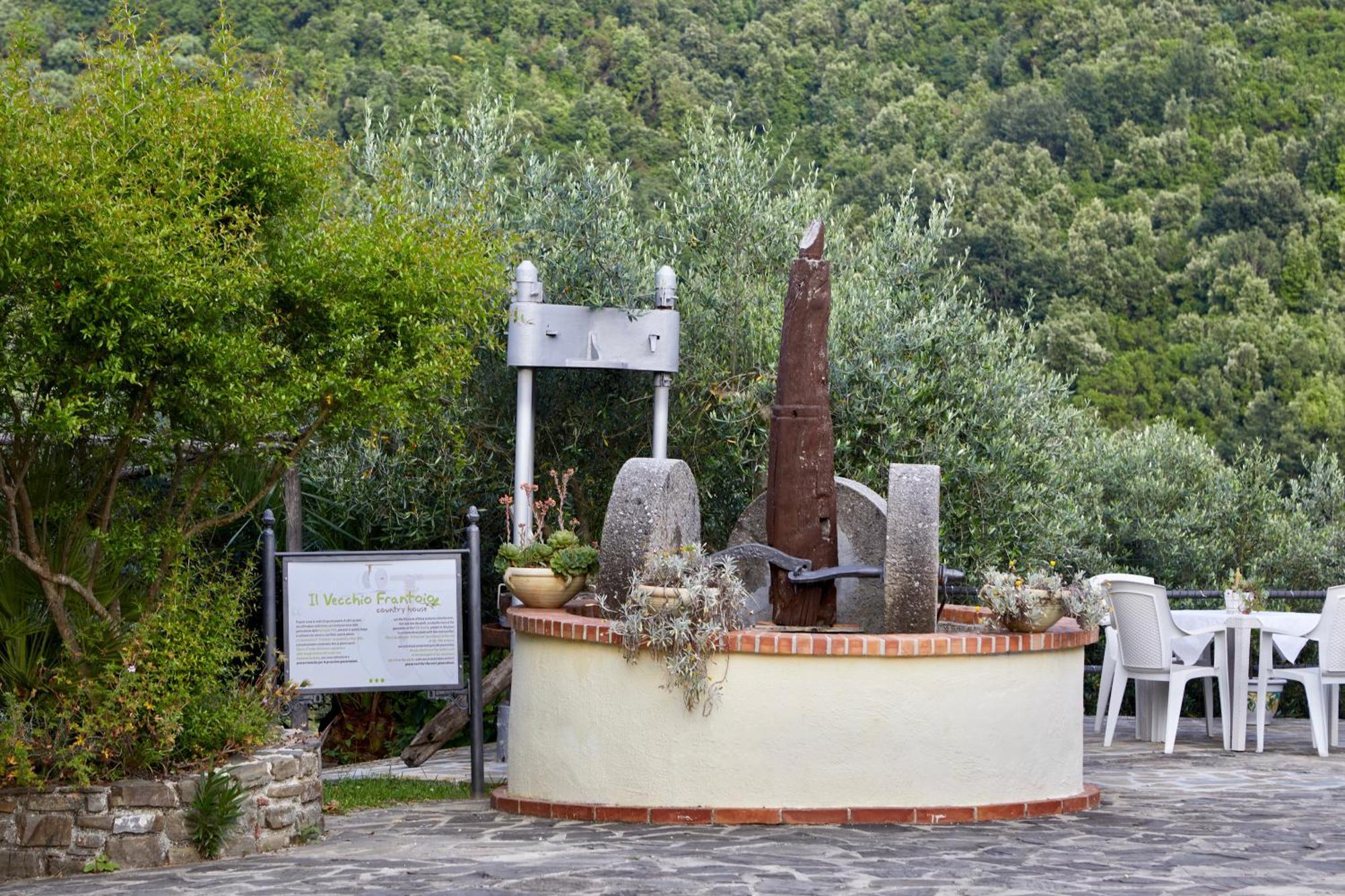 Villa Il Vecchio Frantoio Stella Cilento Exterior foto